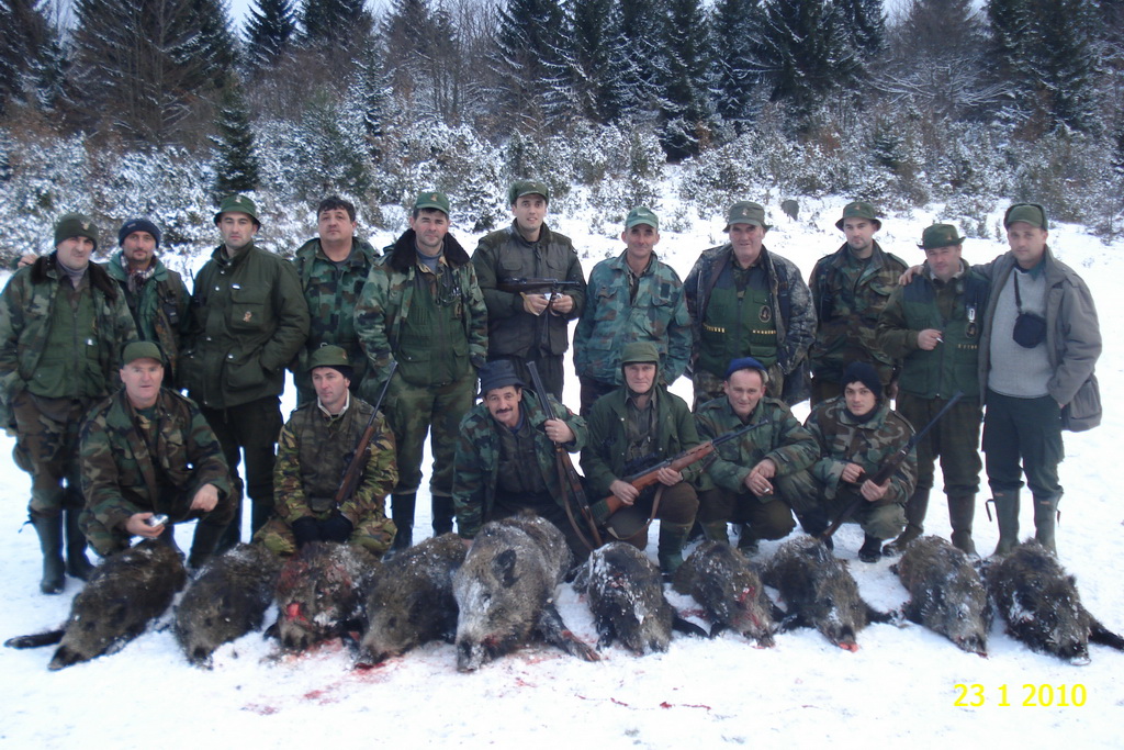 Gostovanje 2010.godine